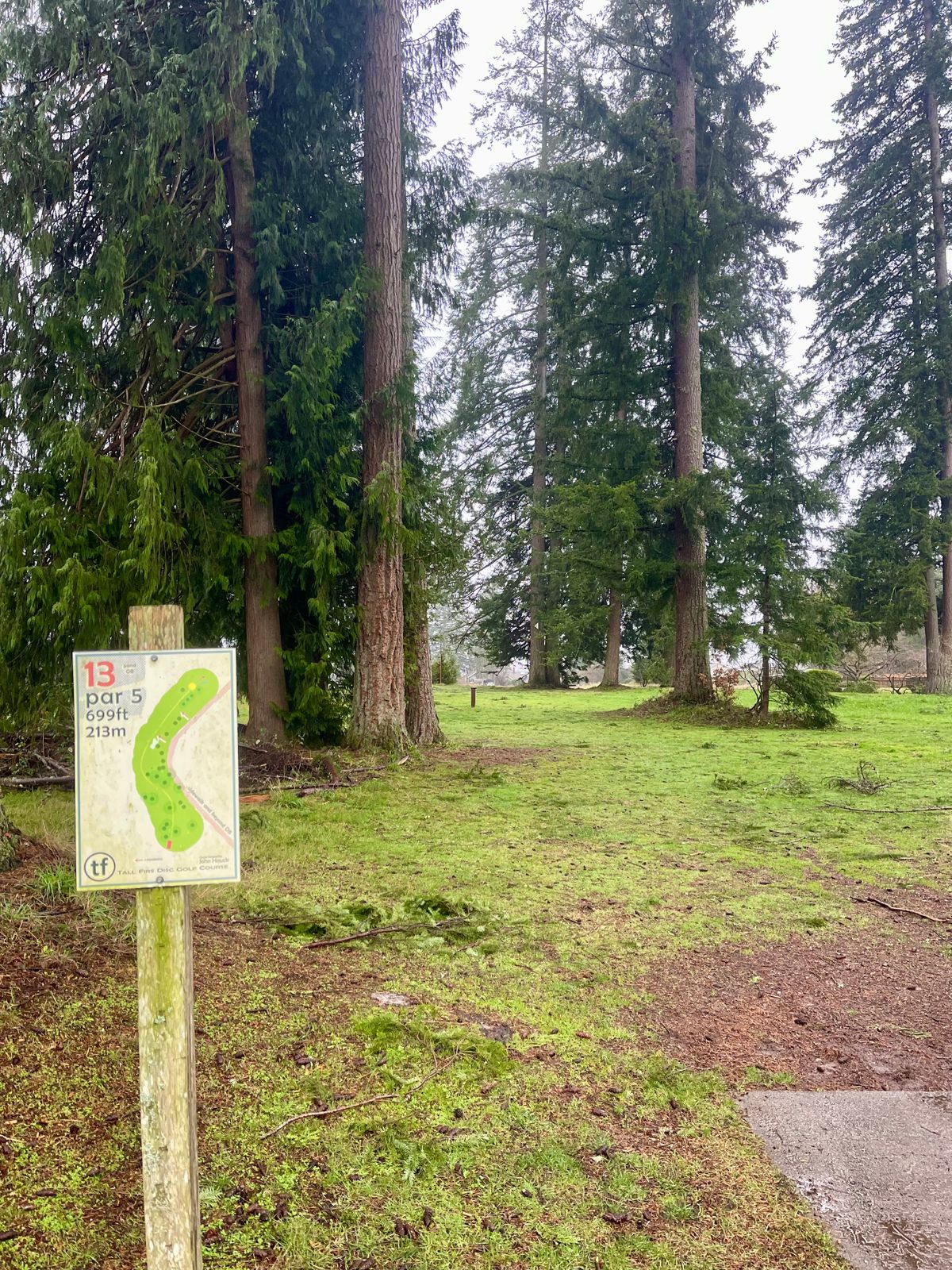 Hole 13 tee