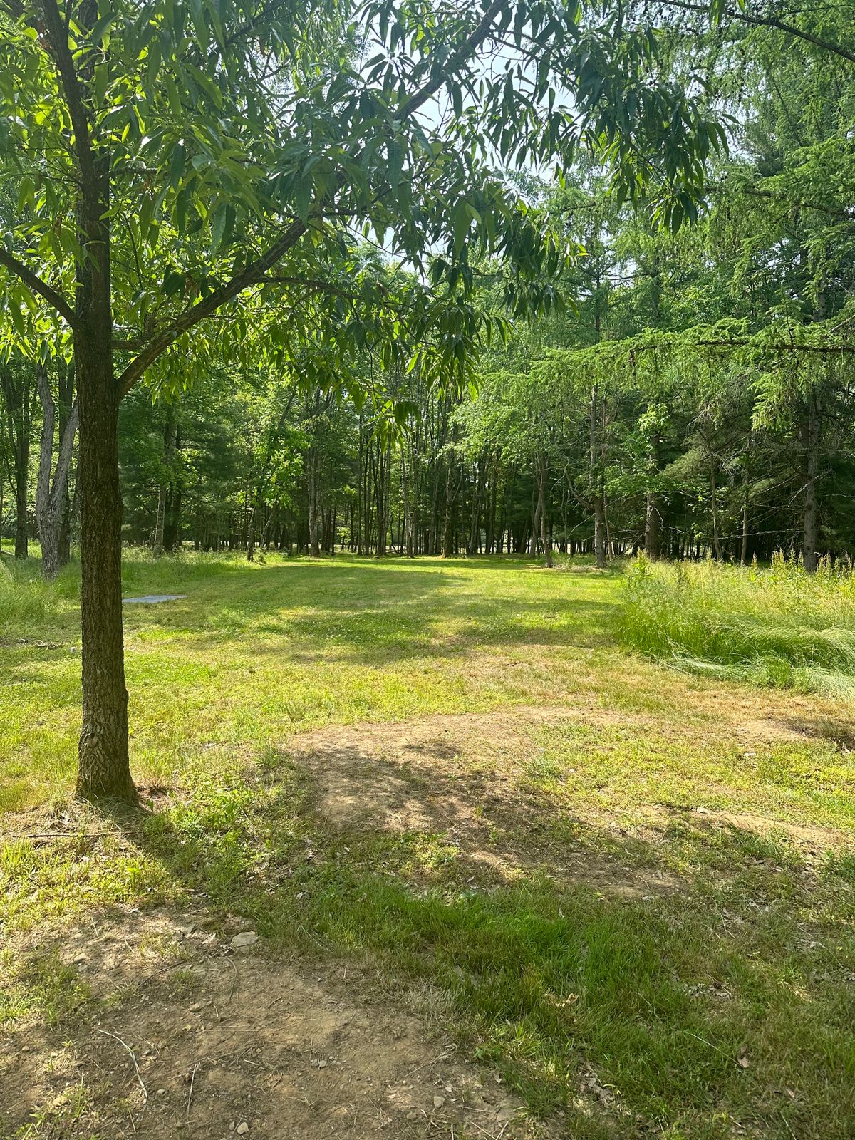 #10 long tee