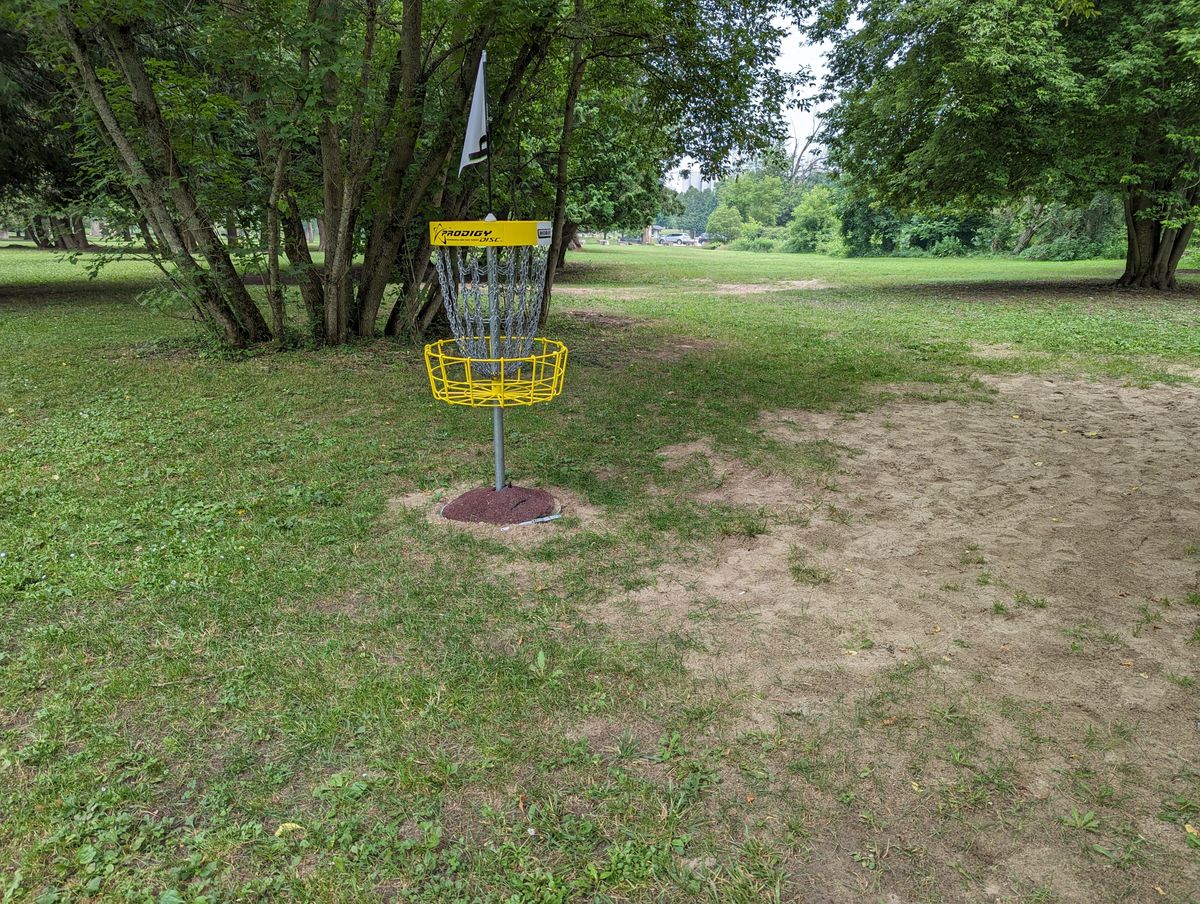 Hole 4 basket looking back at the fairway