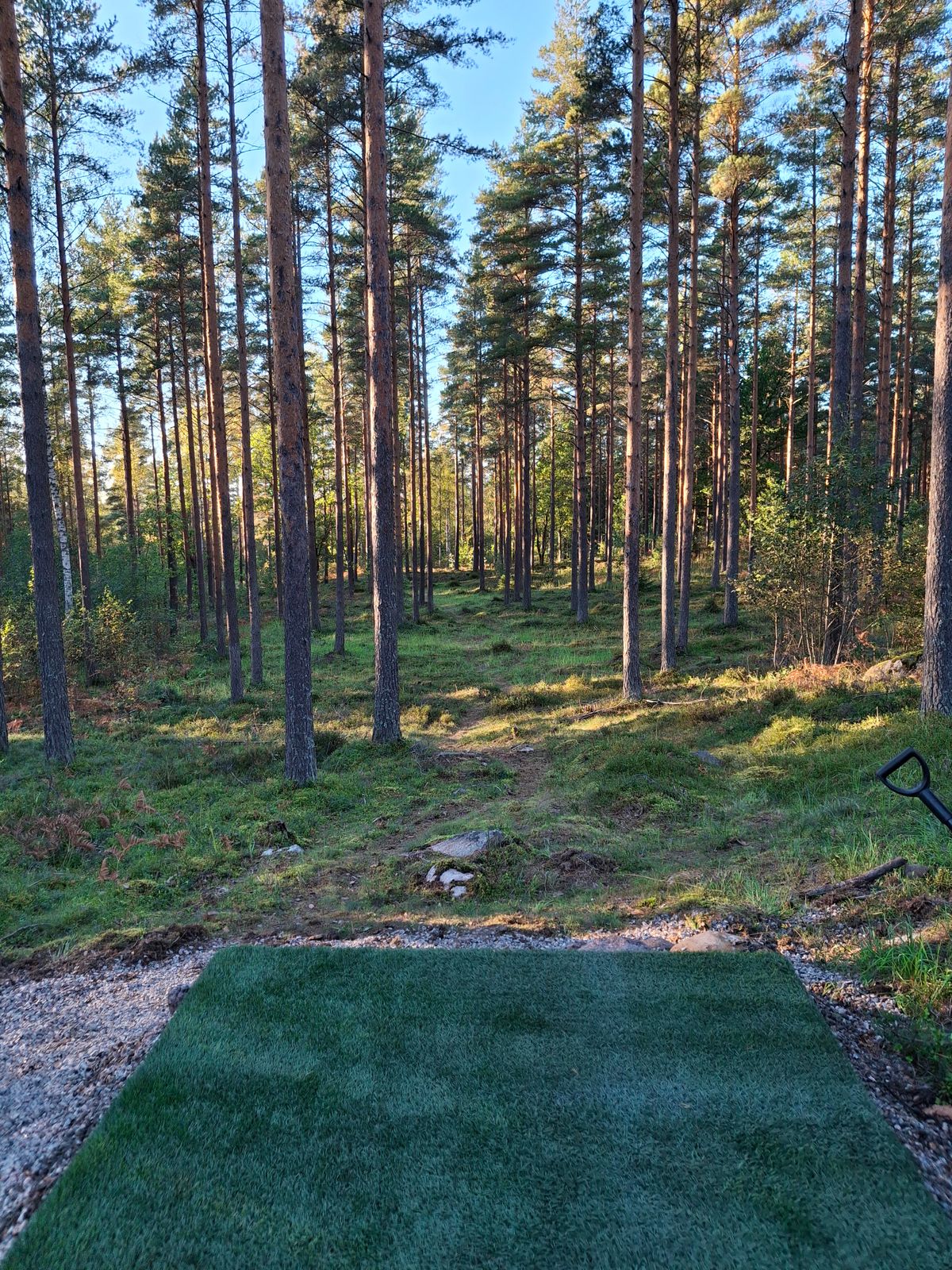 6 tiinäkymä