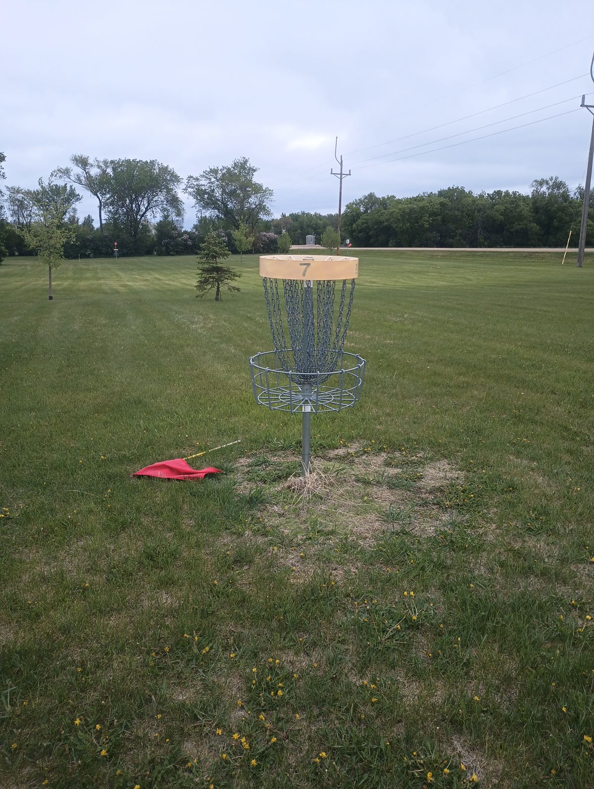 Basket on hole seven looking back towards the tee. The basket of six is also in the background.