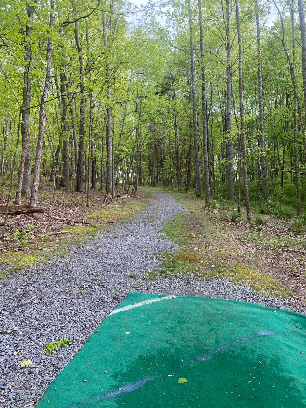 Hole 8 tee pad