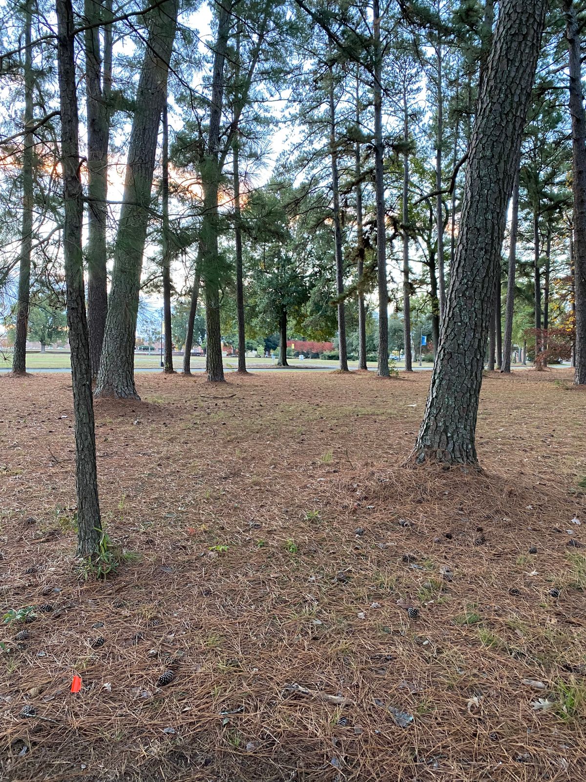Fairway Hole 10