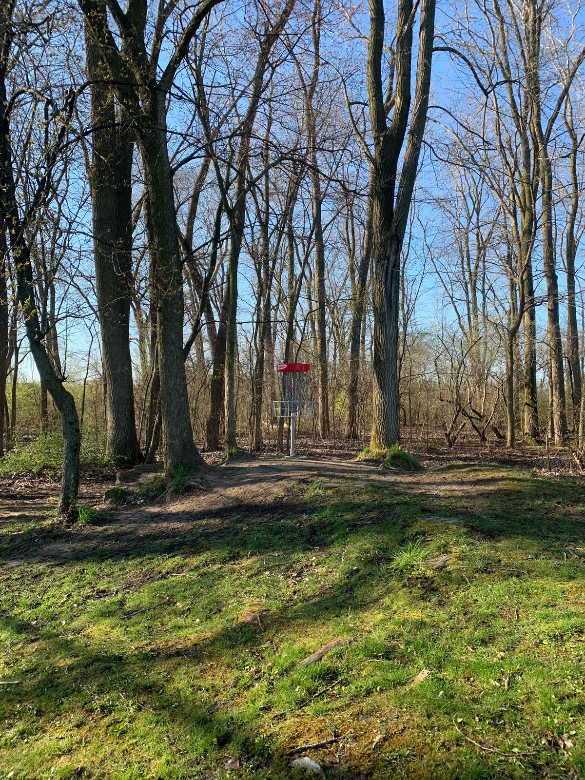 Hole 11
