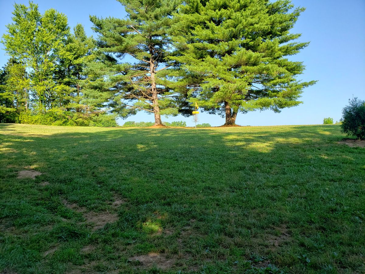 #5 Basket looking up hill.