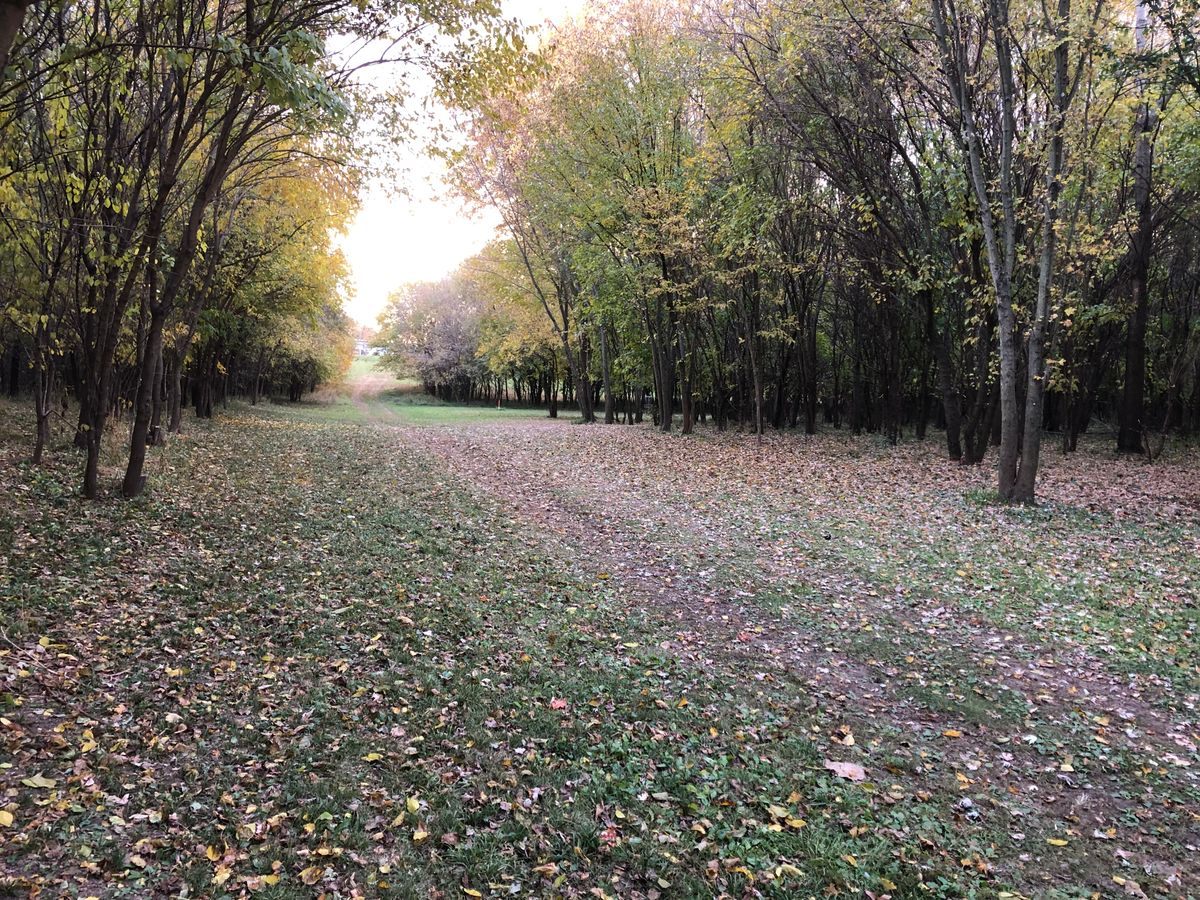 Hole 4 Approach 2022