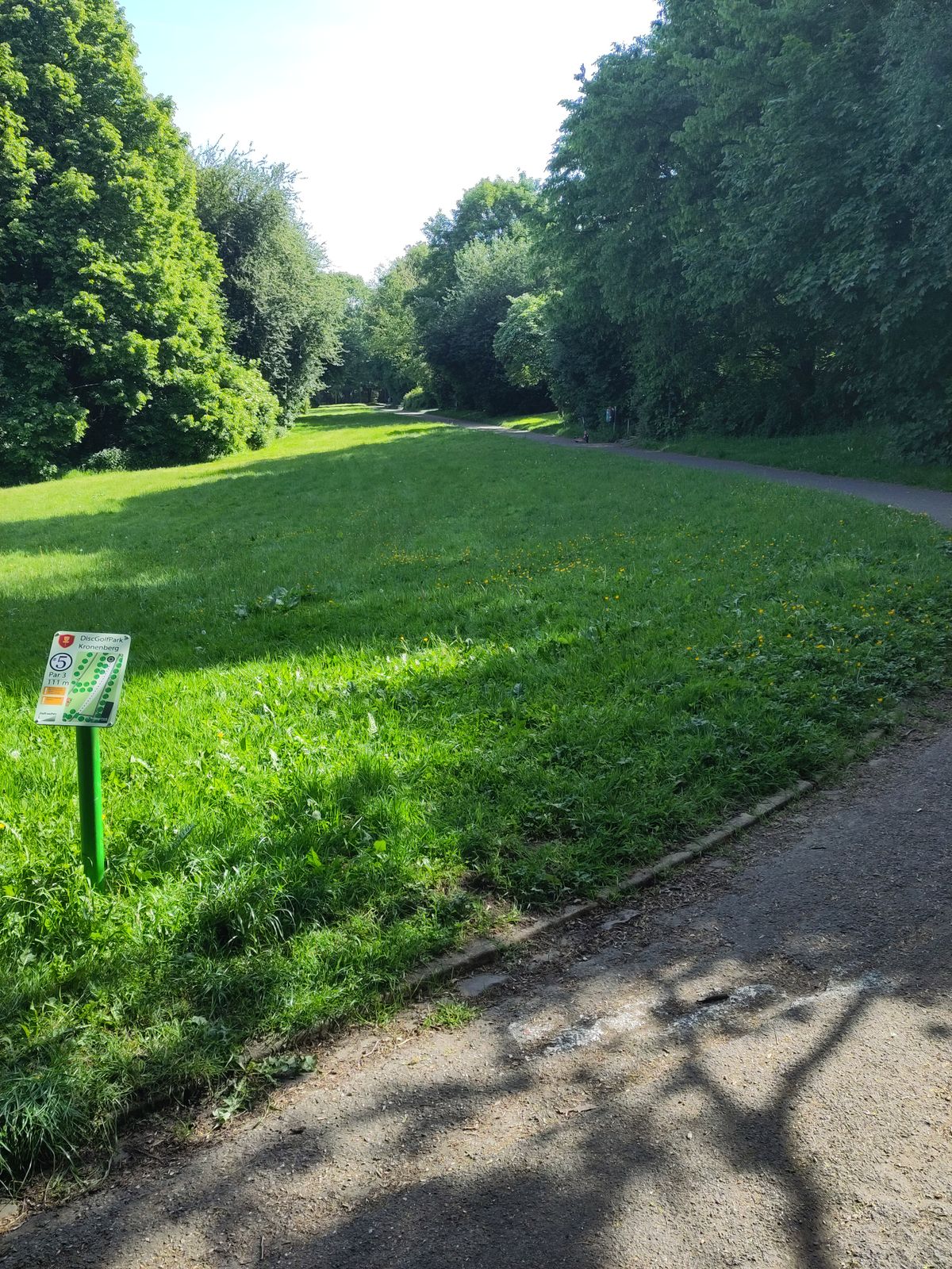 Hole 5