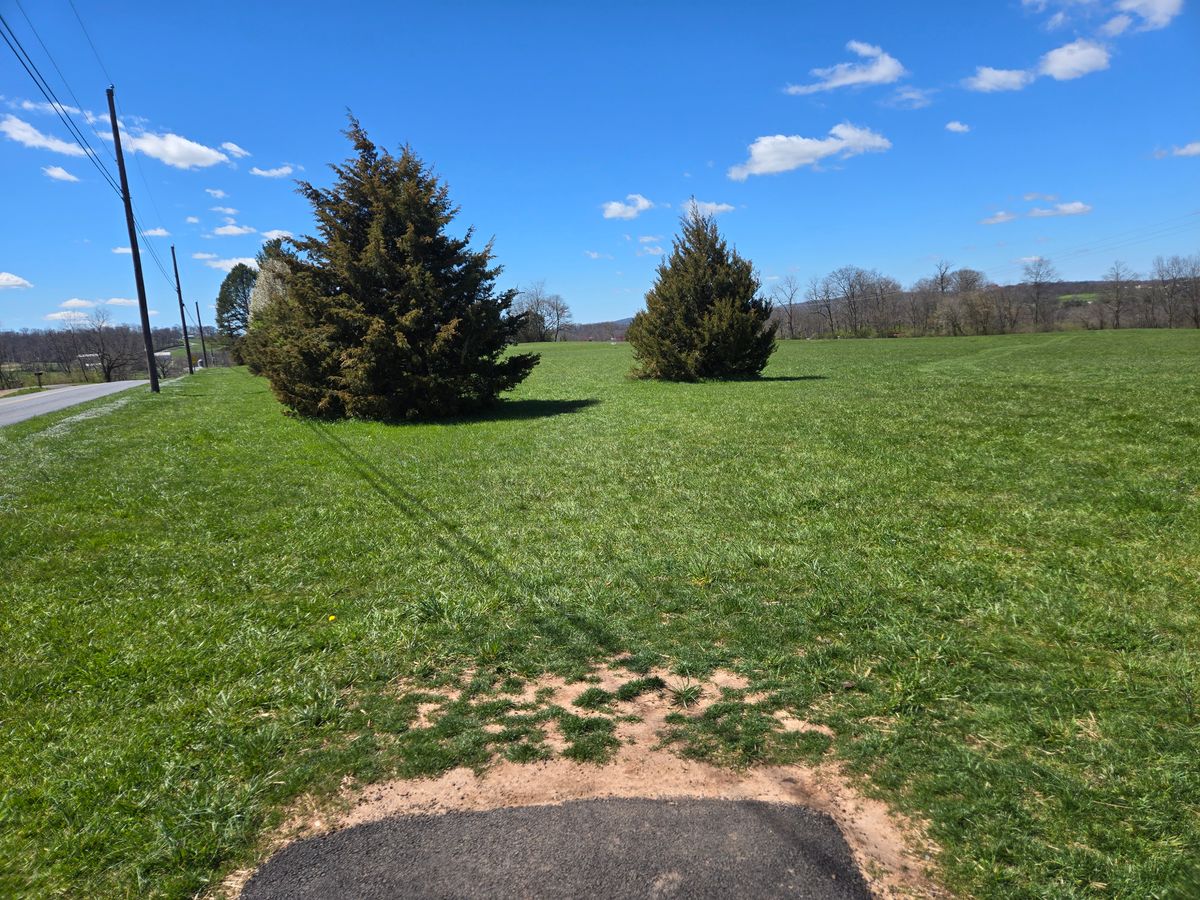 Hole 1 teepad