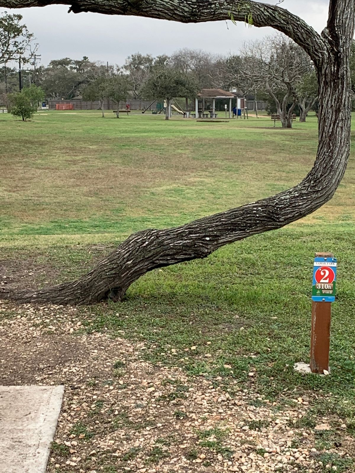Shot is very straight up, just working back in the opposite direction of hole 1.