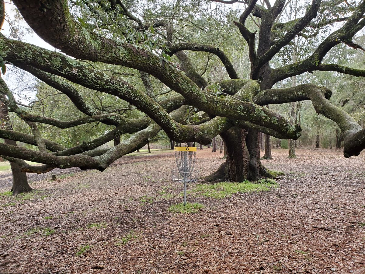 Awesome green on hole 8