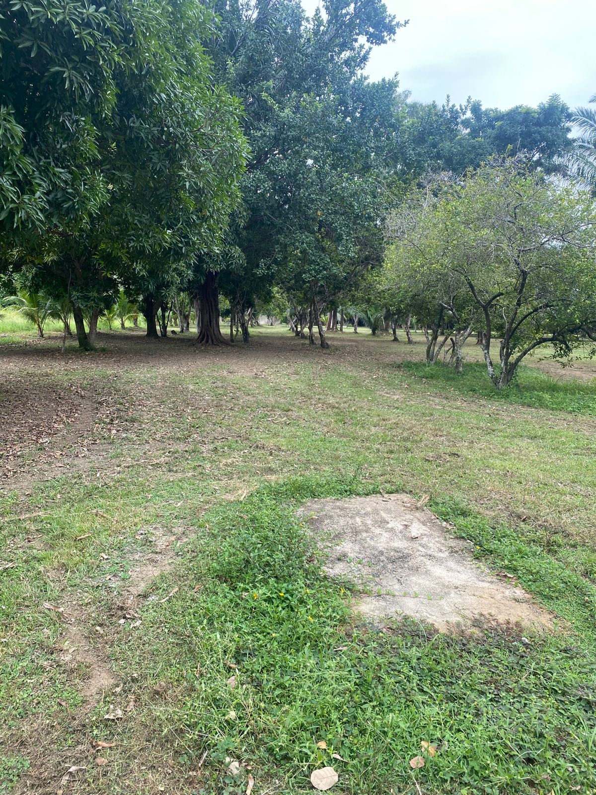 Hole 2