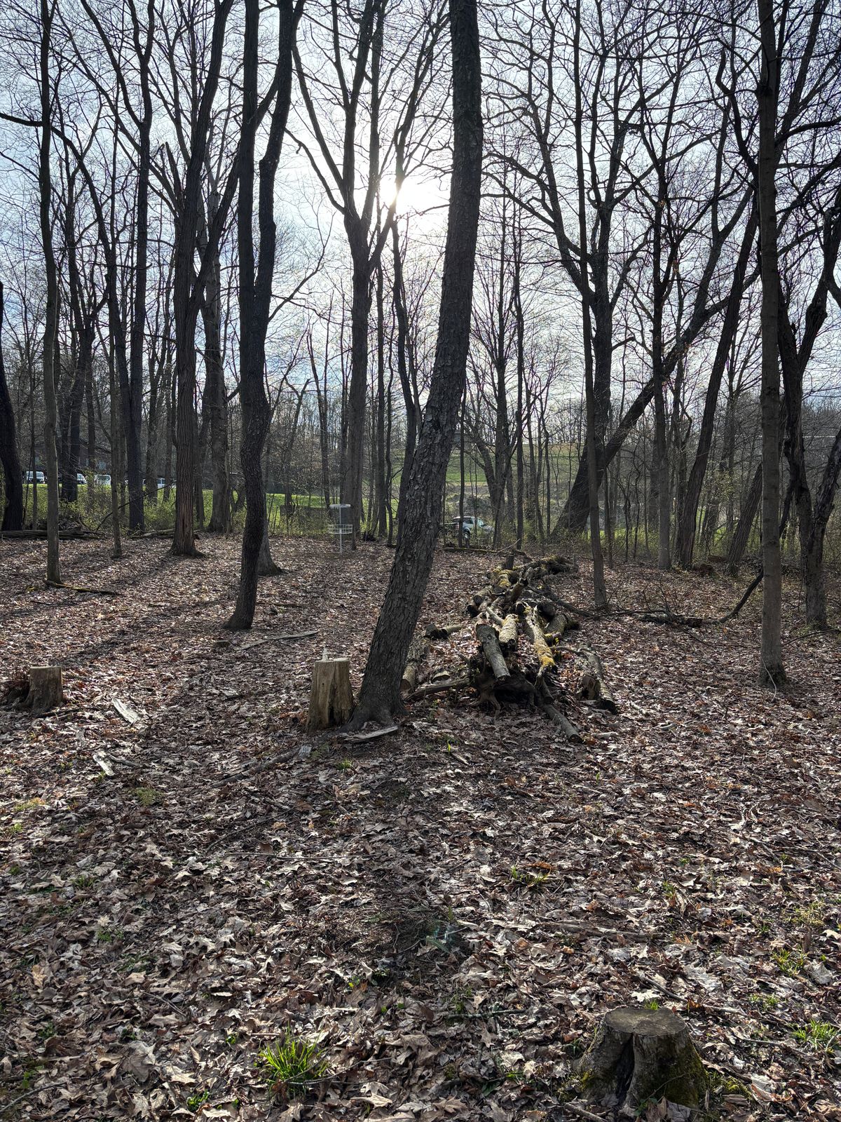 Hole 3 dogleg looking at green.