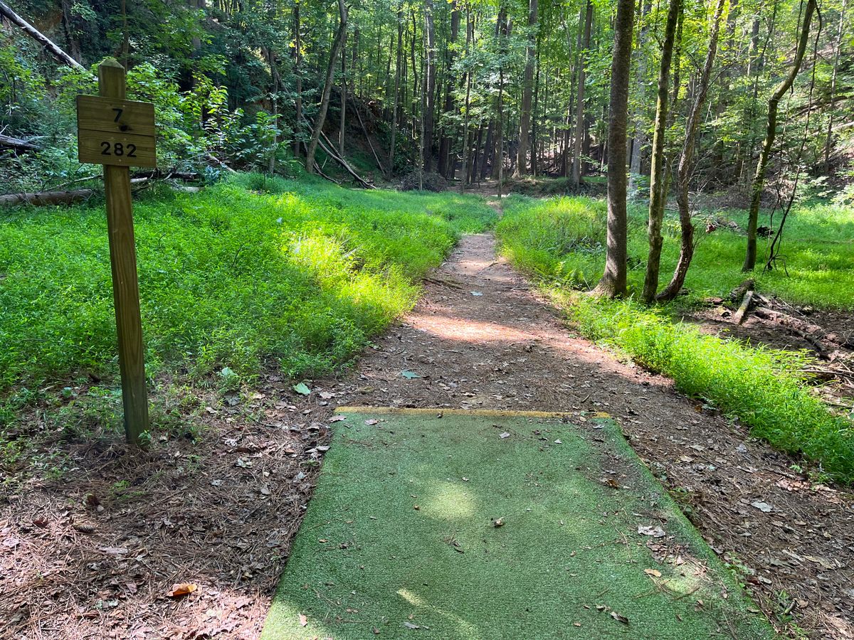 Hole 7