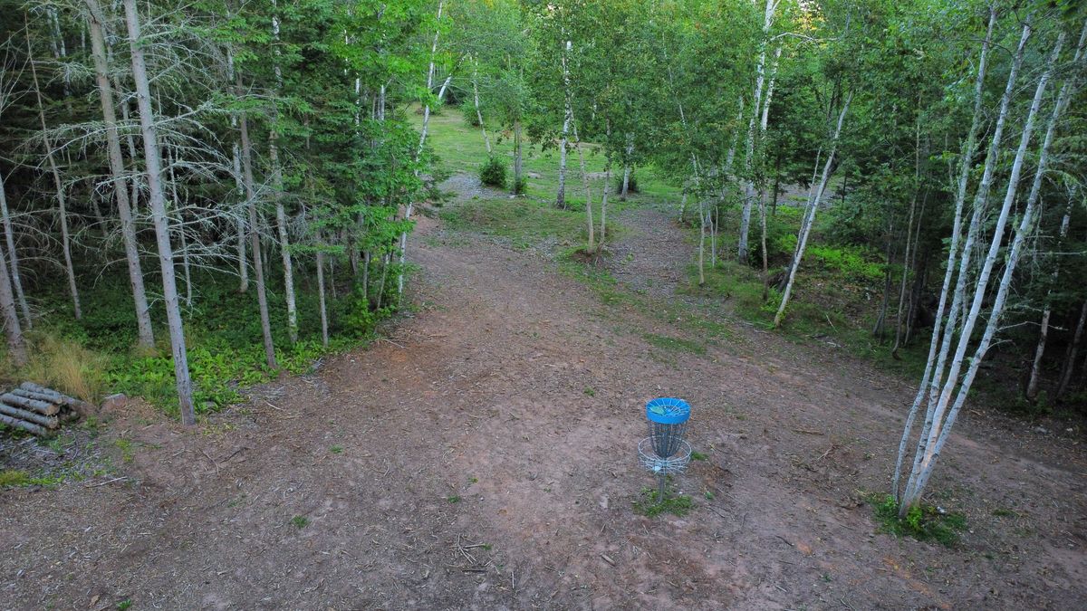 Hole 7 - green looking backwards towards fairway.