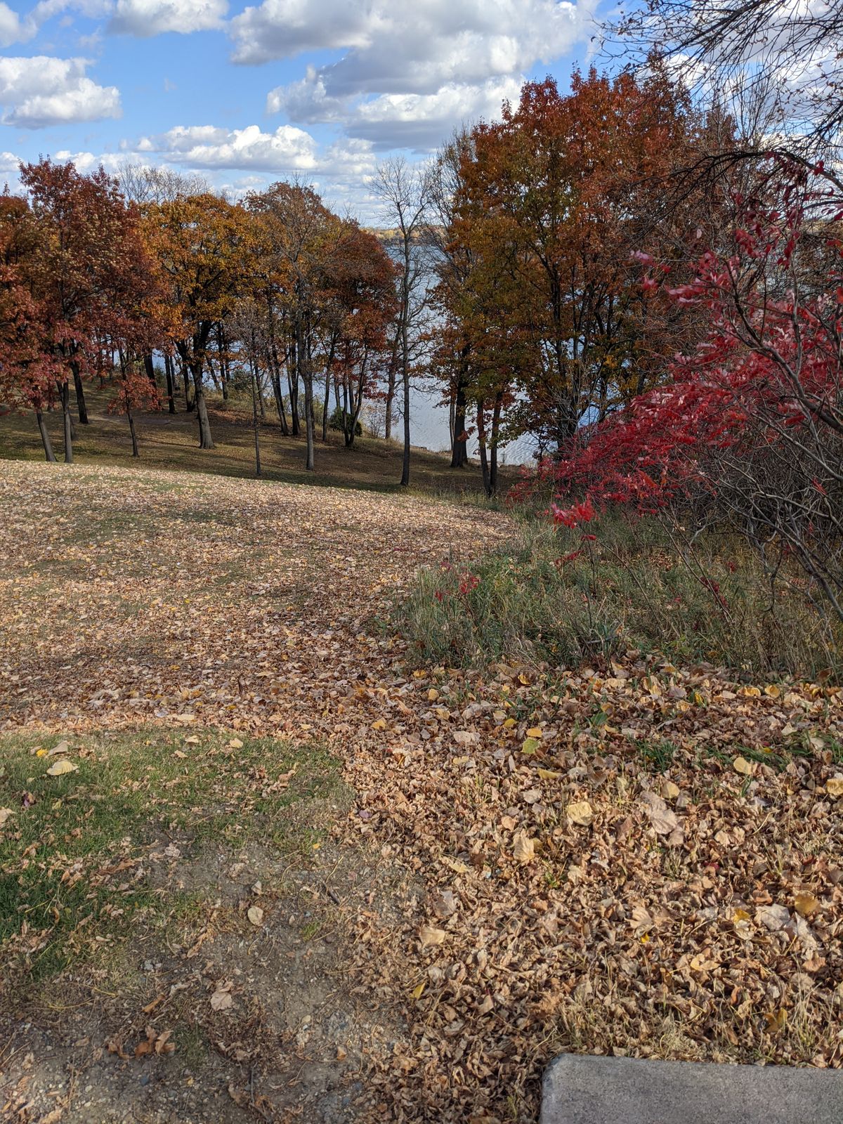 Hole 5 teepad, basket at edge of water at bottom of hill.