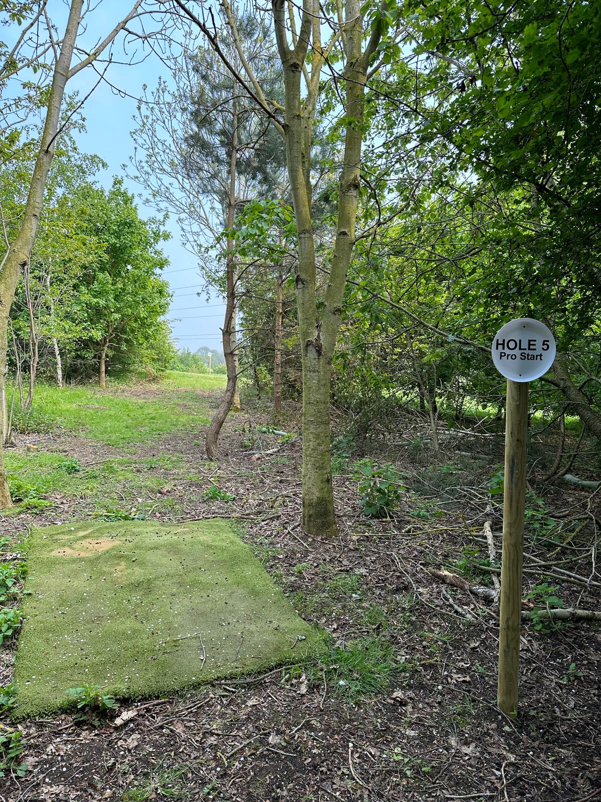 Hole 5 long course start tee