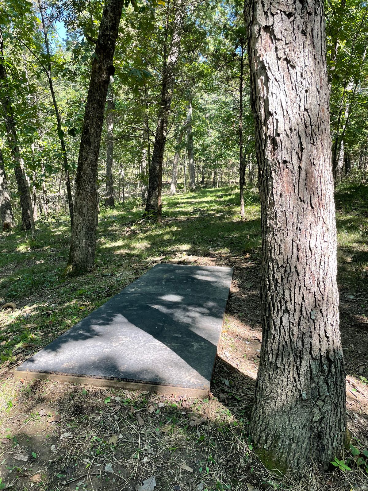 Tee pad 8