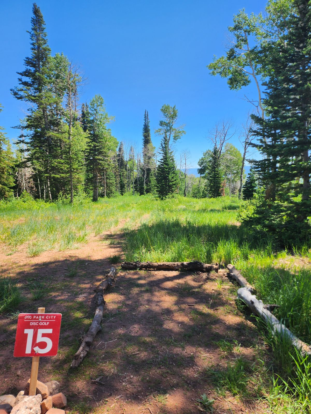 New Hole 14