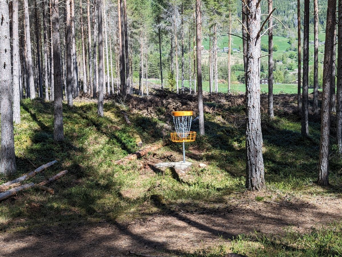 Hole 6