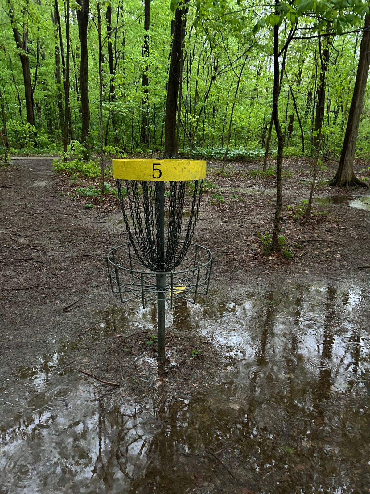 Hole 5 in rain