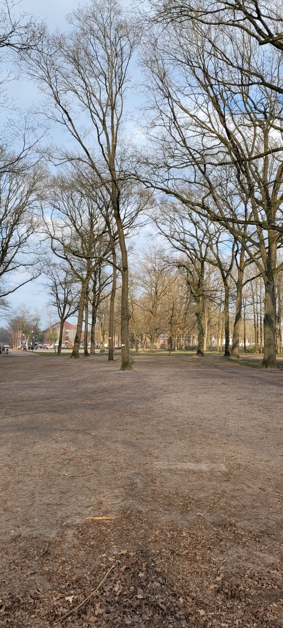 Hole 7