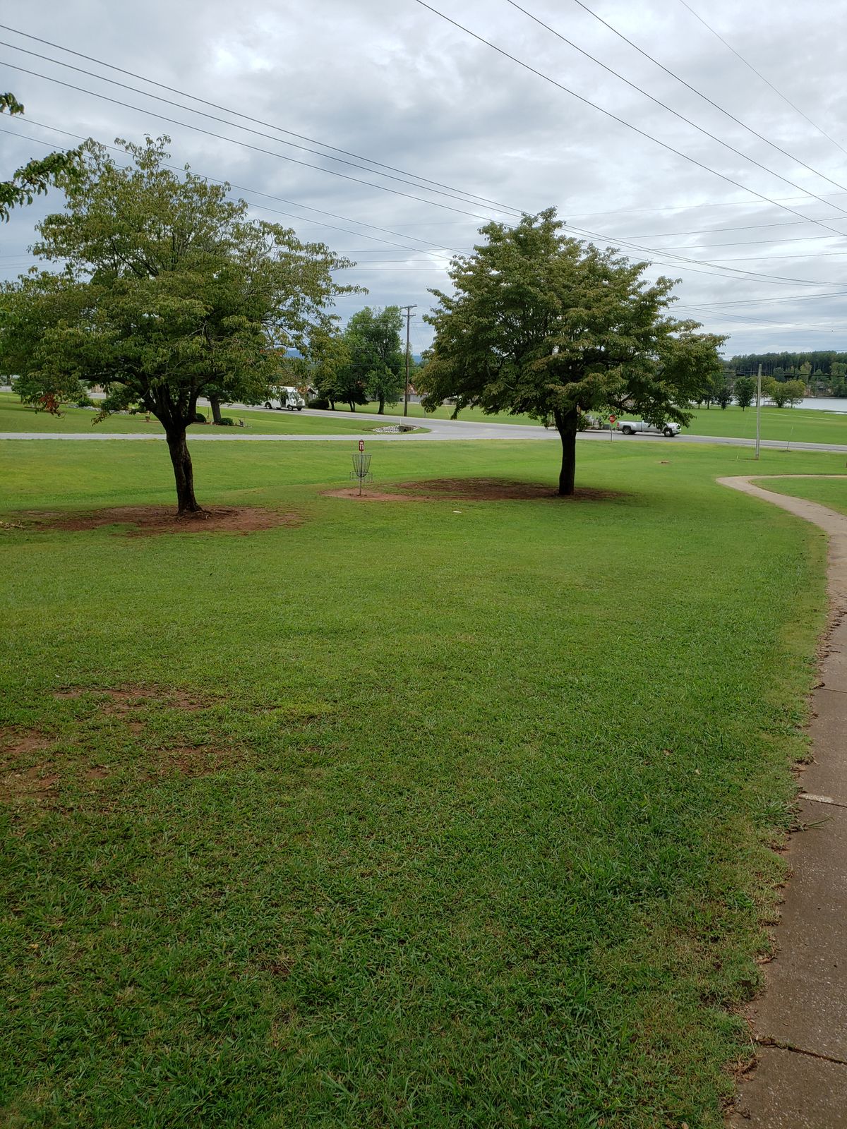 #11 Green Area