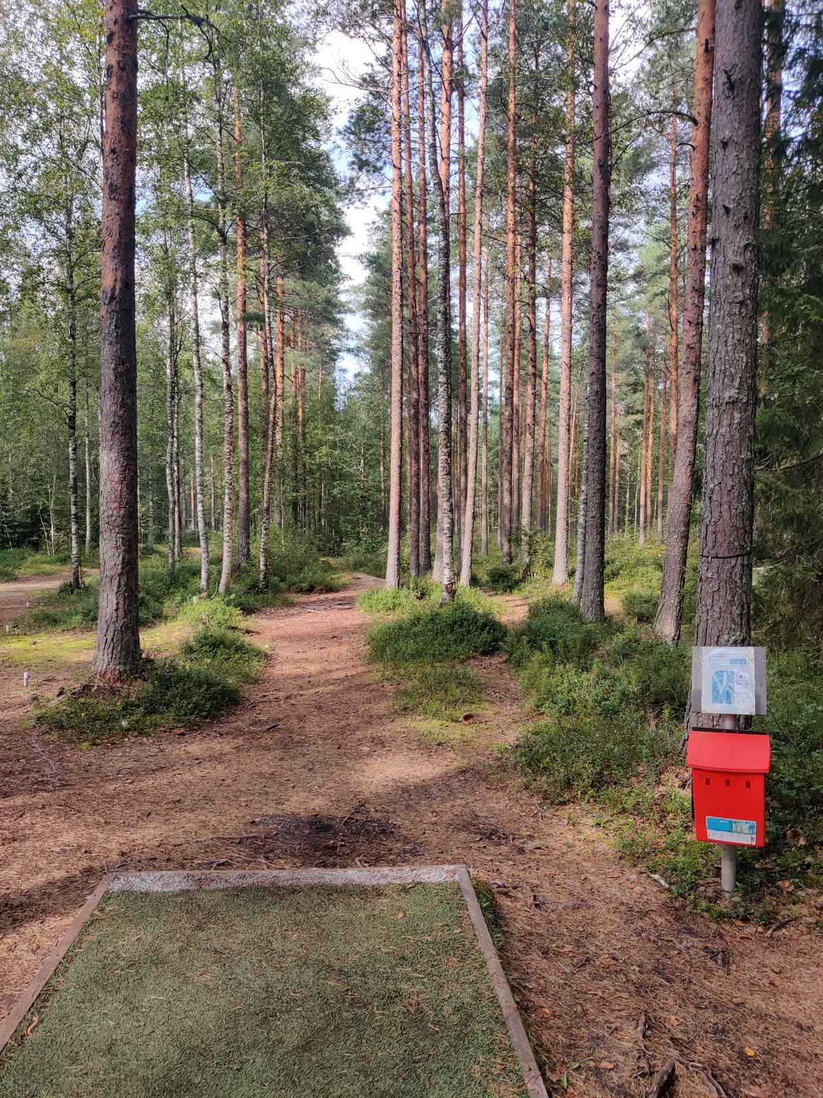 Väylä #8