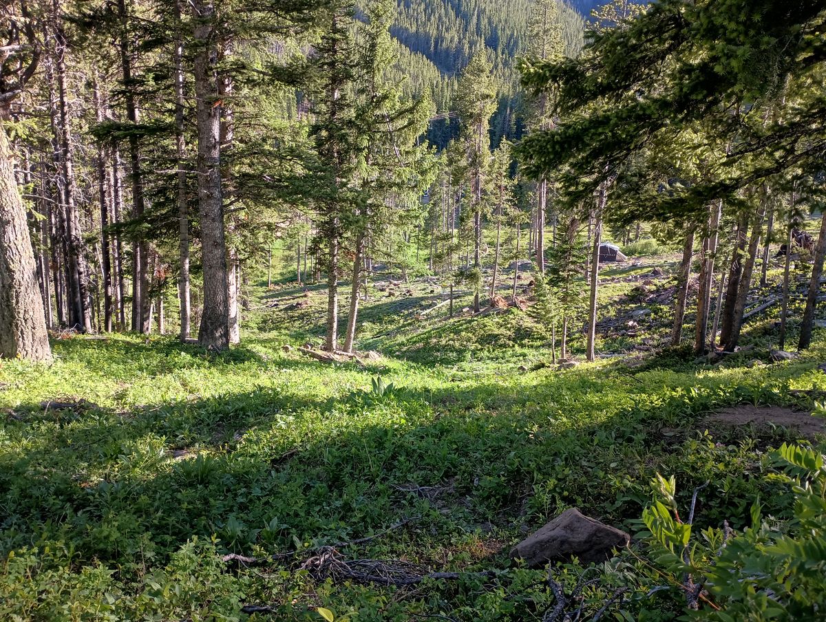 Hole 17