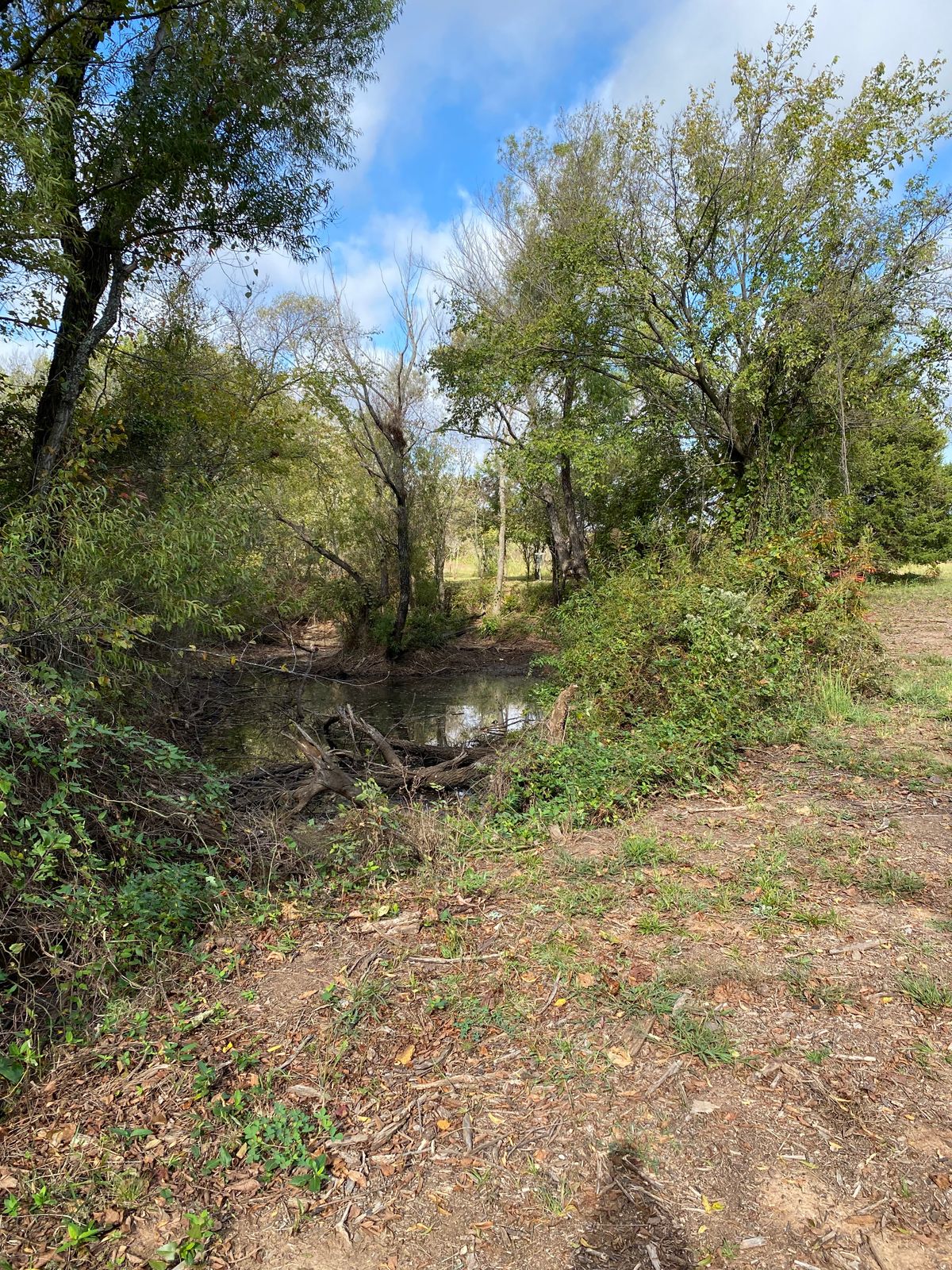 Hole 13 Pad