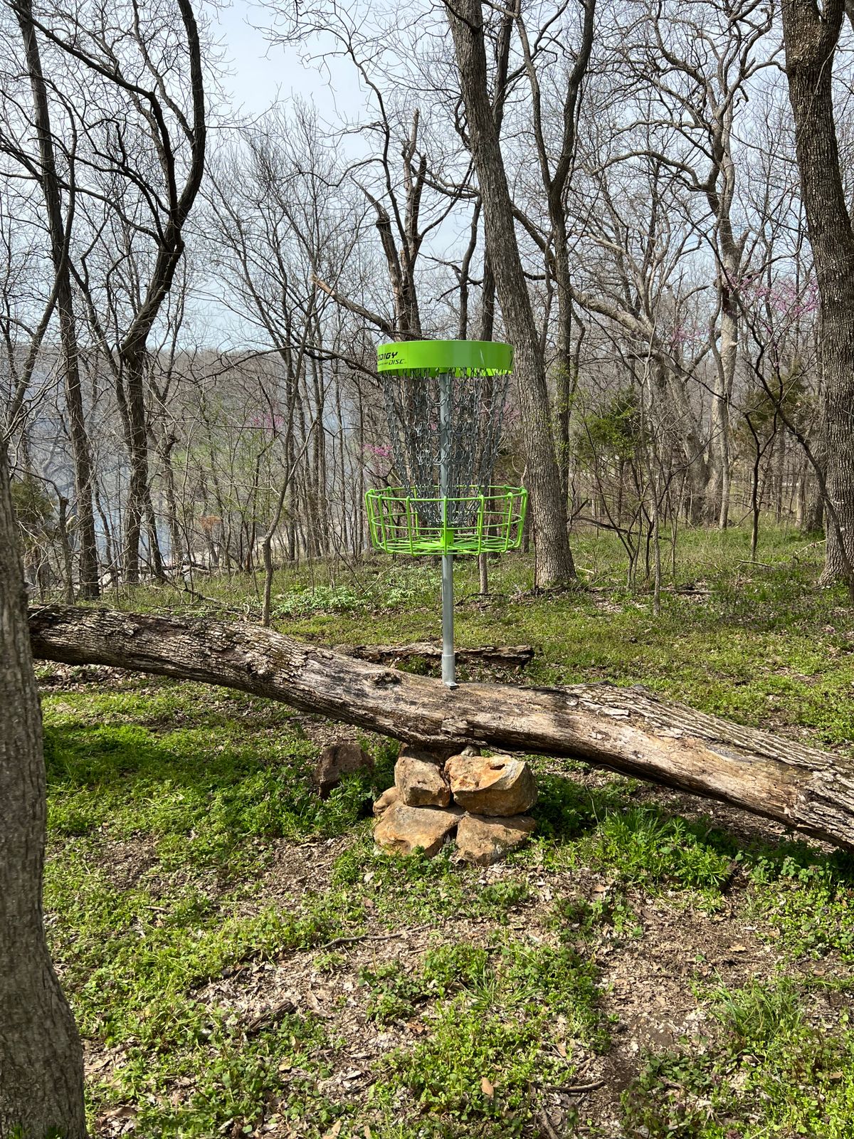 Hole 15 basket