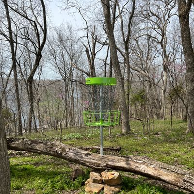 Hole 15 basket