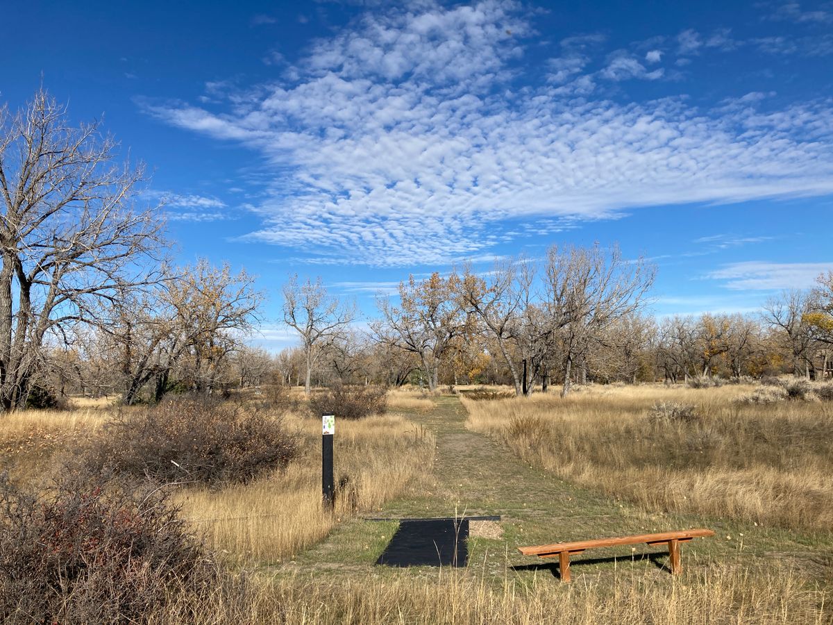 Hole 3 tee area