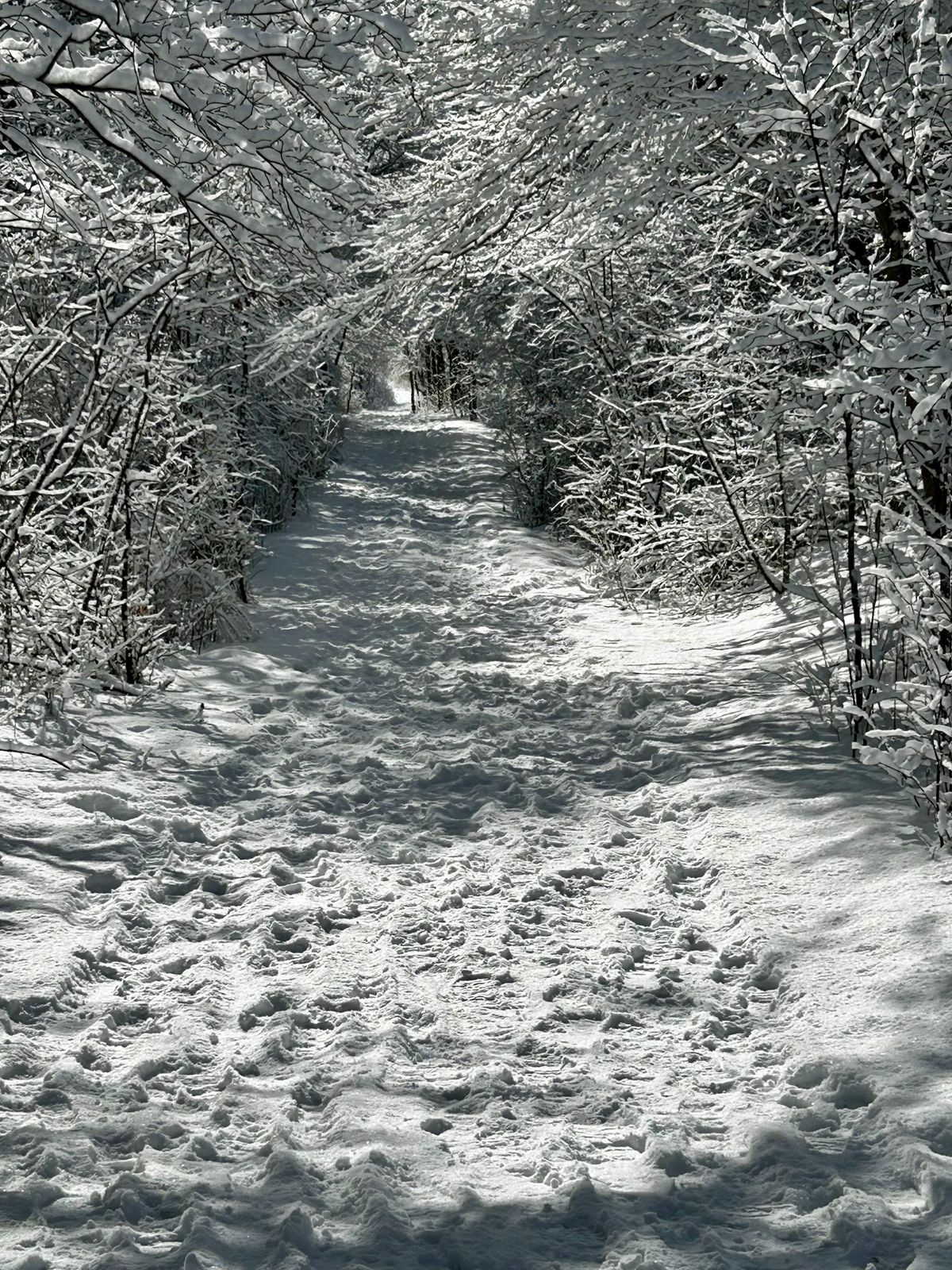 The walk from 8 to 9.