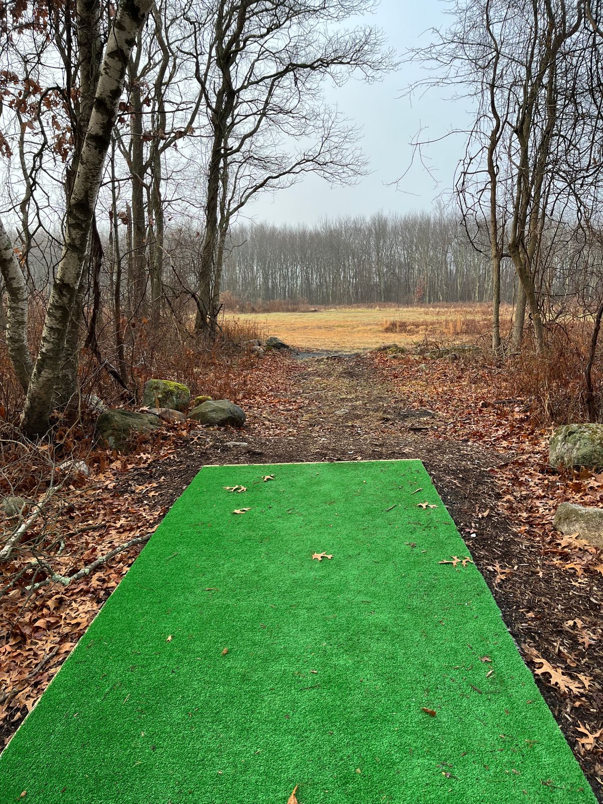Hole 7