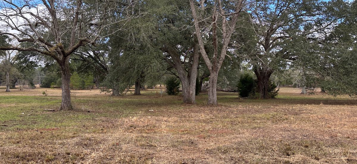 Hole 5 Red
