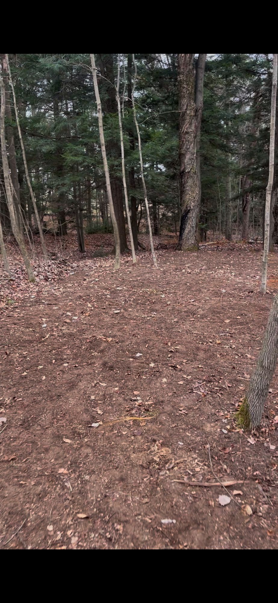 Hole 7 fairway