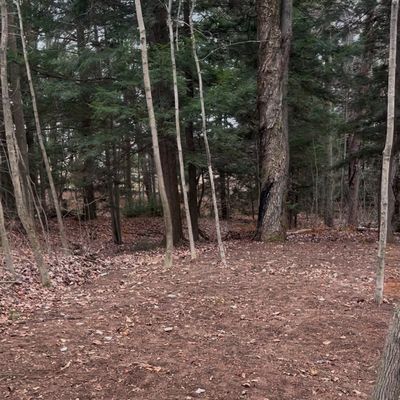Hole 7 fairway