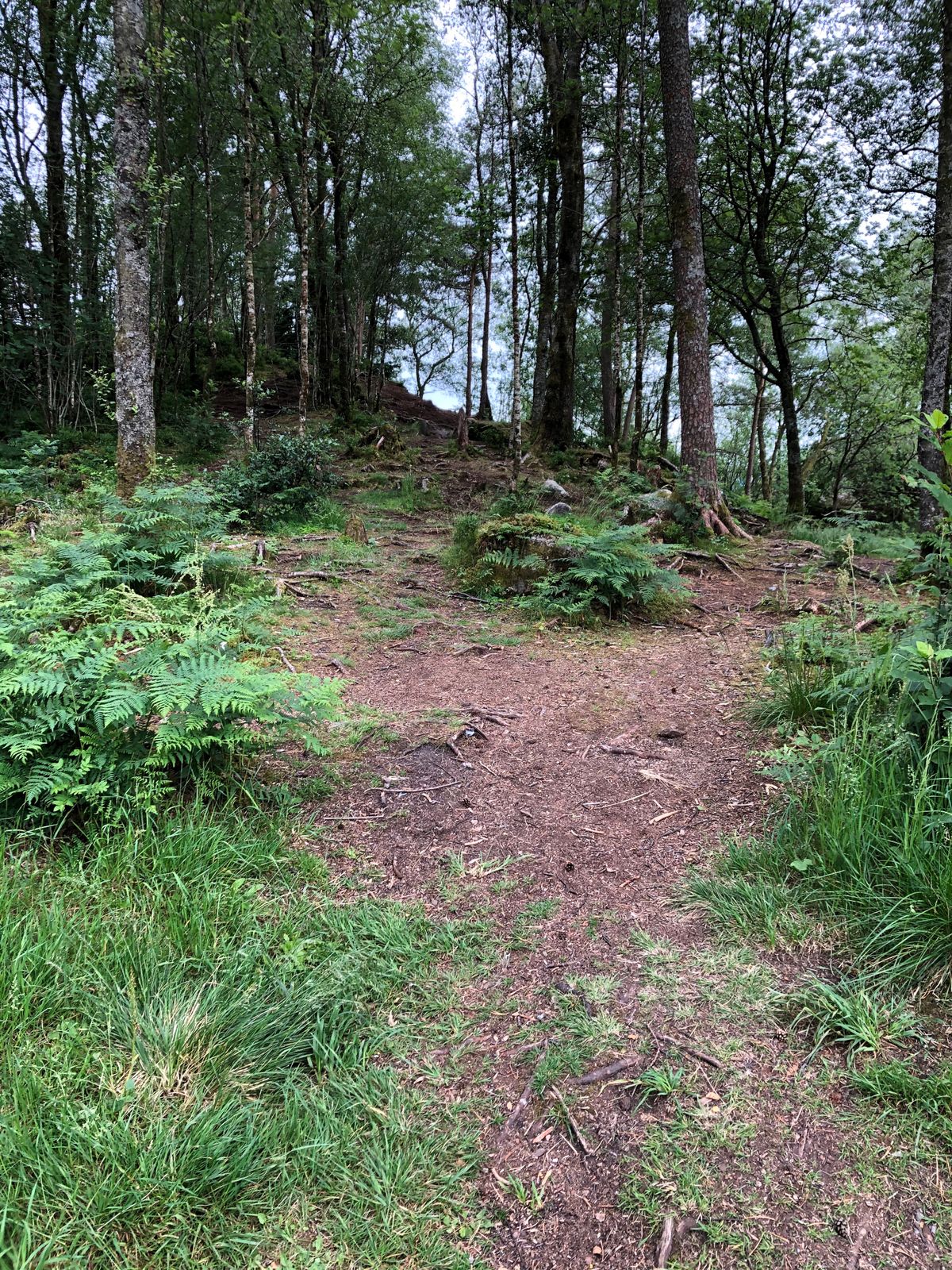 Hole 11 tee