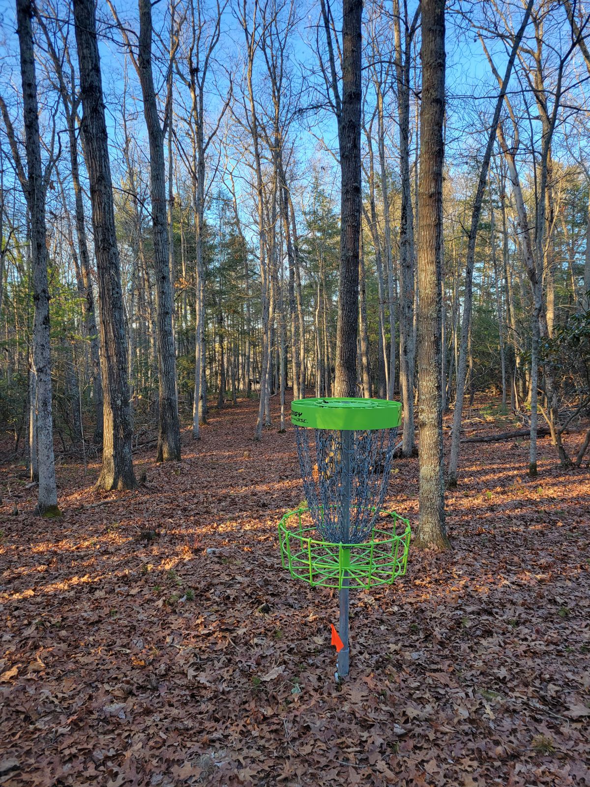 Hole 6 basket to tee