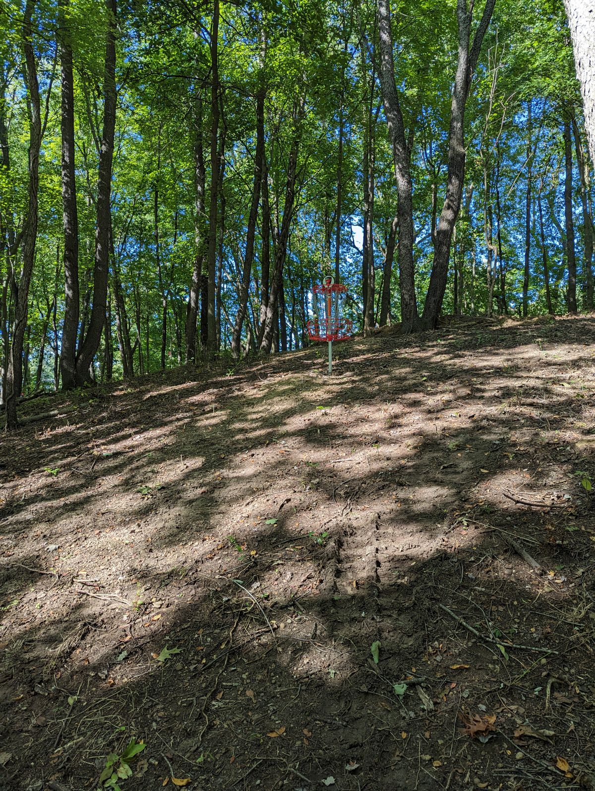 Hole 7 Basket