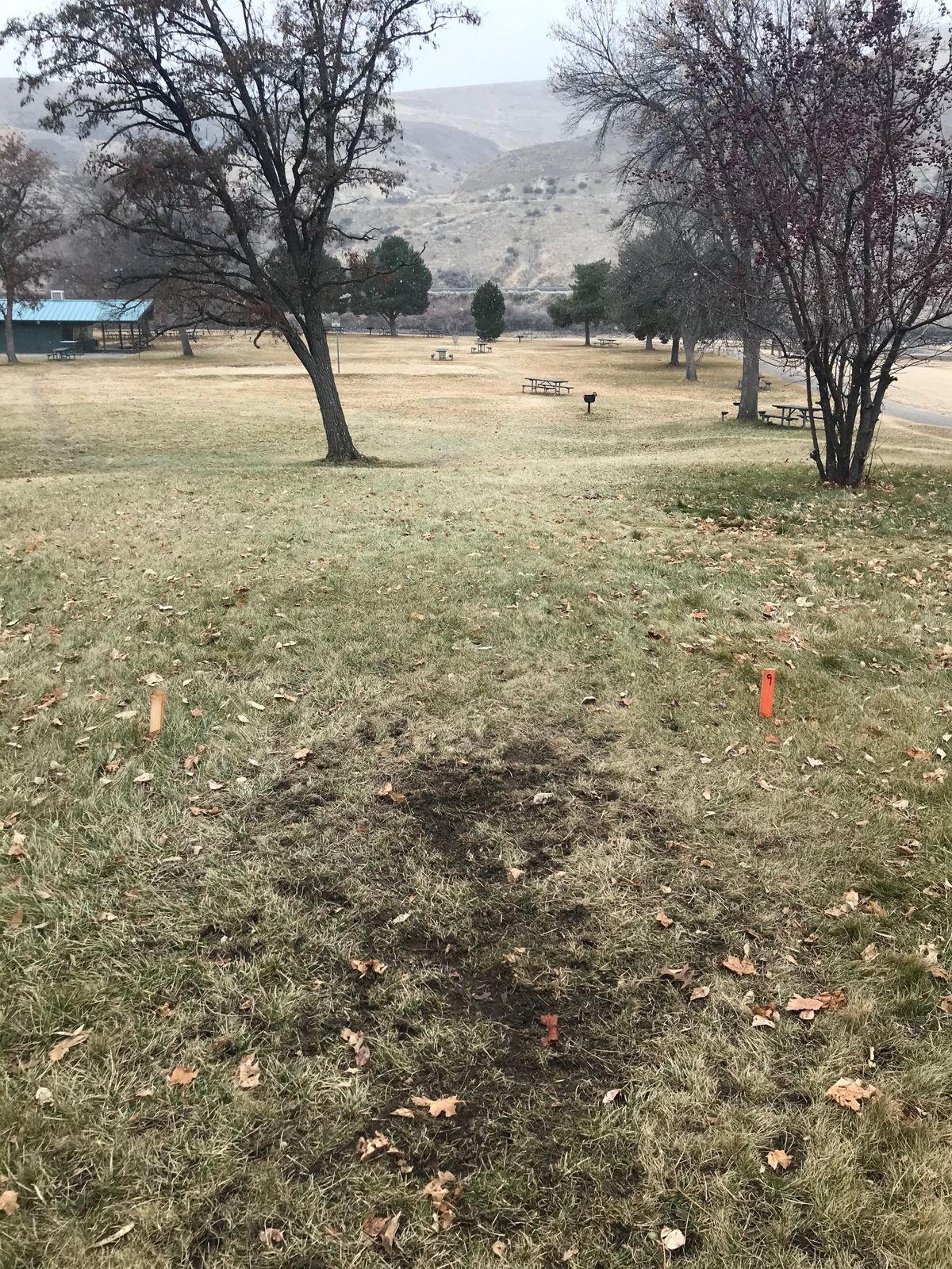 It’s rather difficult to spot the Tee boxes so I thought I’d take a picture so y’all know