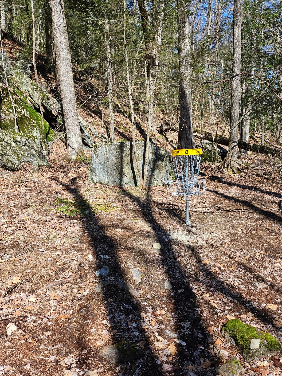 8th Hole