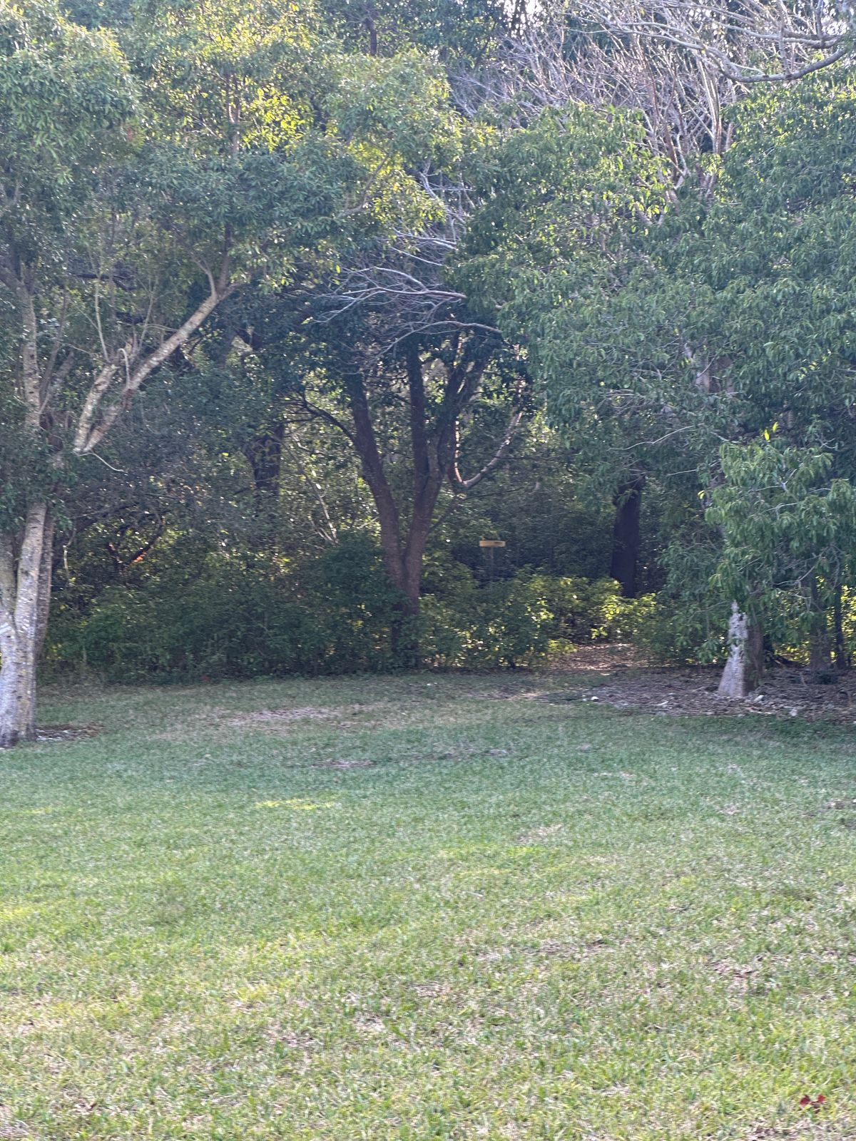 Buried in the bushes. Beware. You’ll lose your disc at some of these holes.