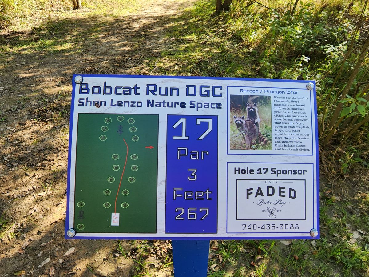 No. 17 tee