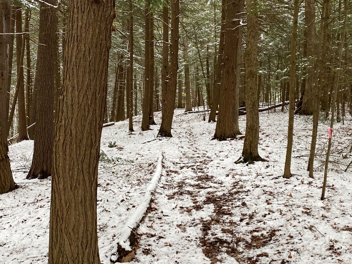 Hole 10.