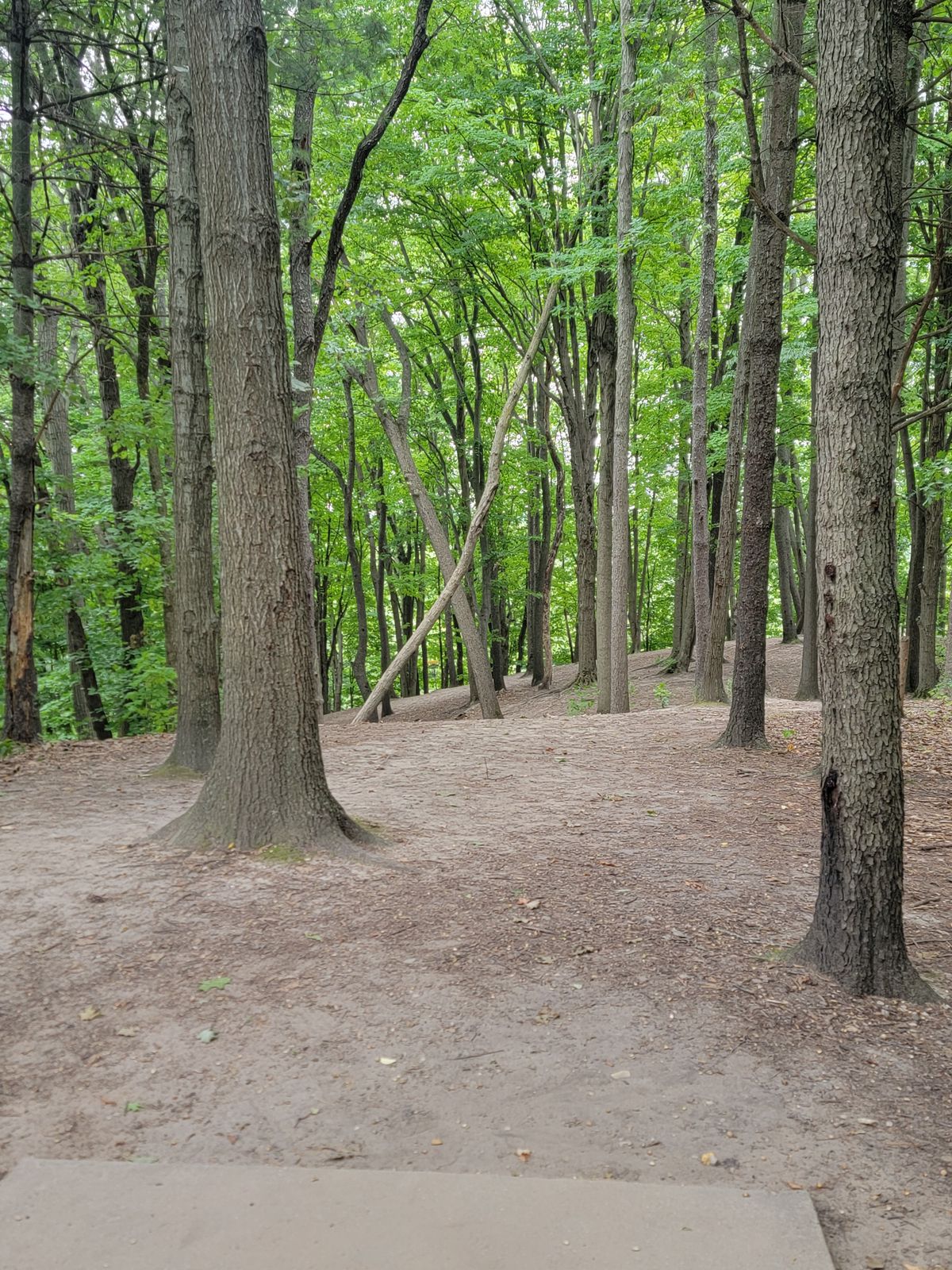 Hole #12