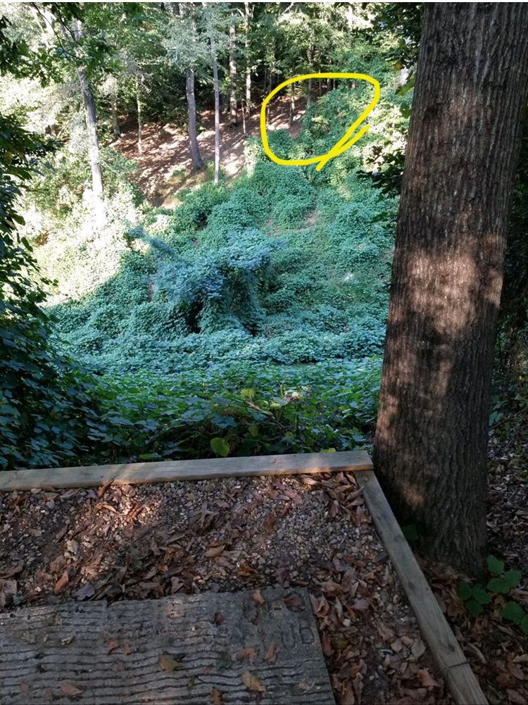 Hole 24