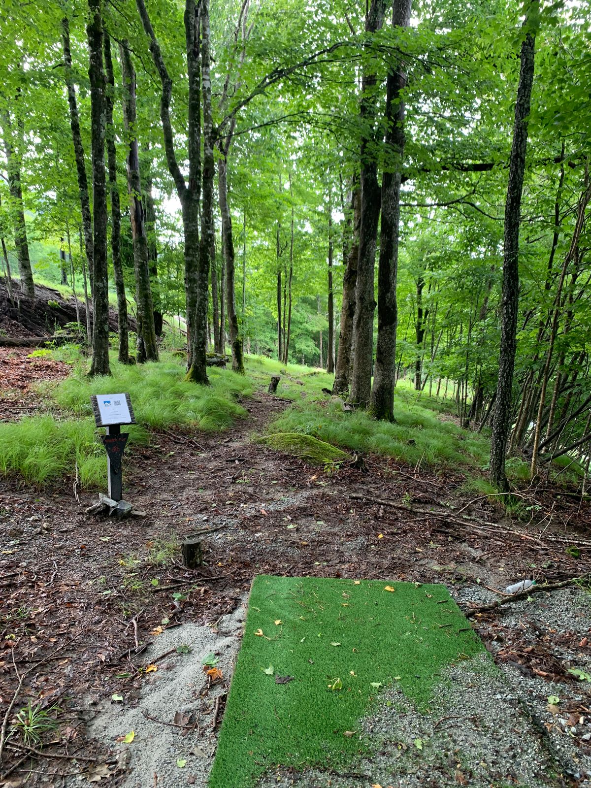 Old Hole 17