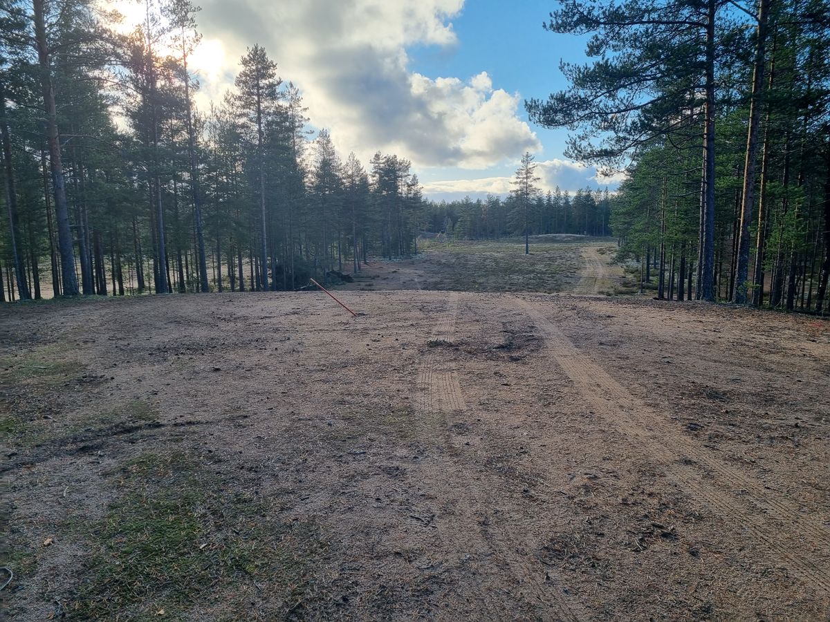 Väylä 7, kolmosheitolla lähestyminen, tästä tiille matkaa noin 250m ja korille aukean vasemmassa laidassa noin 80m
