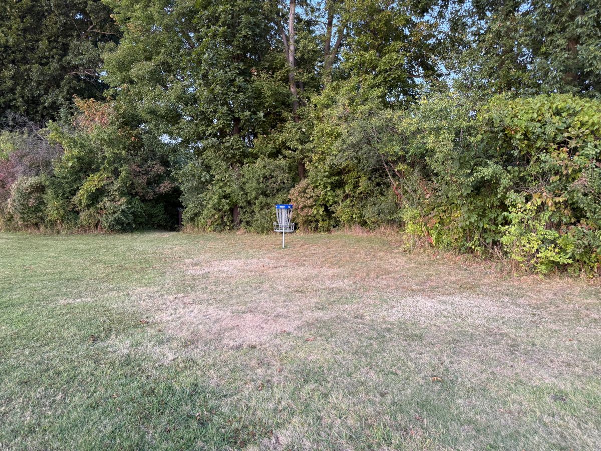 Hole 13 Green